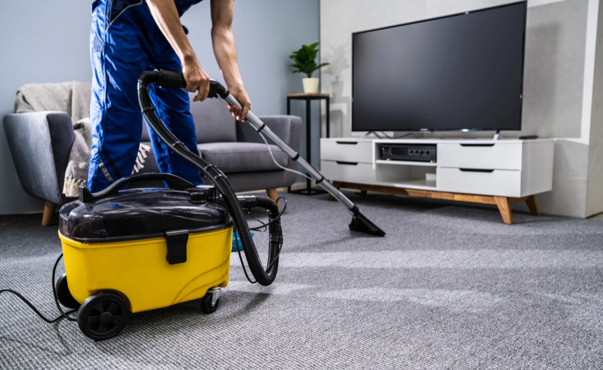 Extract End of Lease Cleaning Freshwater Creek Contact Office